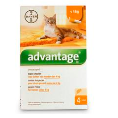 ADVANTAGE (114600) ADVANTAGE (114600)
