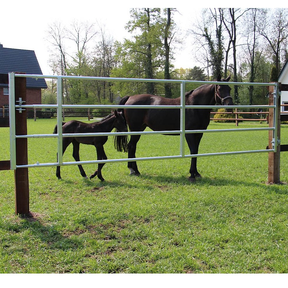 PORTE-COUVERTURE HBFarm - Porte-couverture avec remise et livré à votre  domicile. [325842] - €15.96 :  - Materiel pour prairie, paturage,  etable et animaux