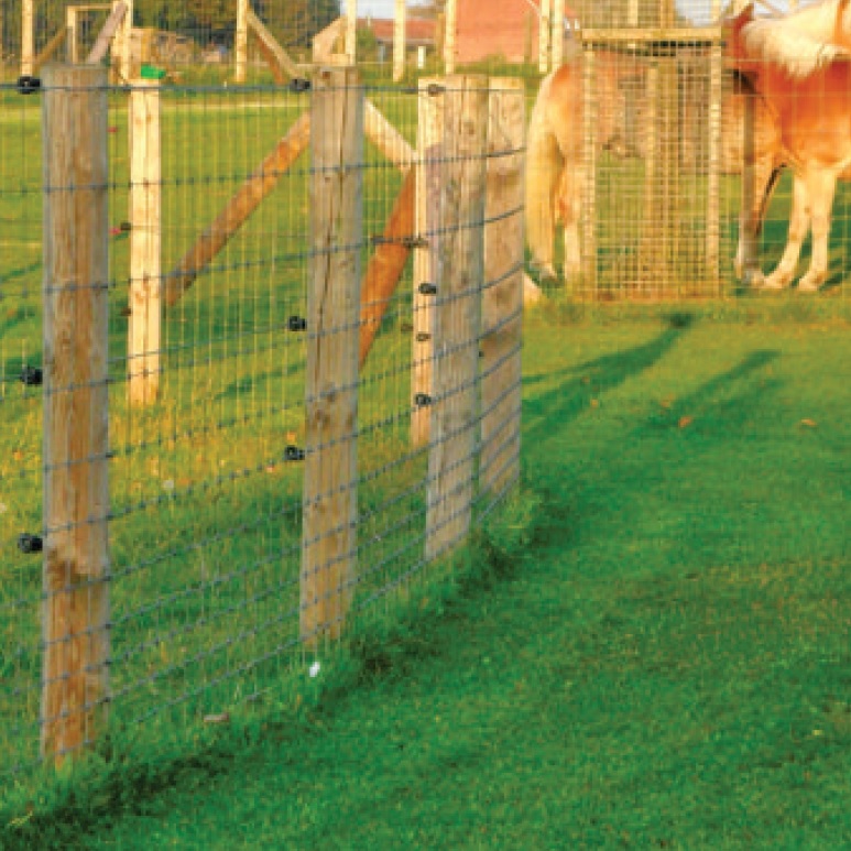 Lokken kwaliteit Doctor in de filosofie WEIDEPAAL GEPUNT GEFREESD DIA 10 CM HBFarm - Weidepaal gepunt gefreesd -  Dia 10 met korting en geleverd. [] - €10.04 : HBFarm.be - Weide-, Stal en  dierenmateriaal, HBFarm.be