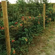 Houten weidepalen