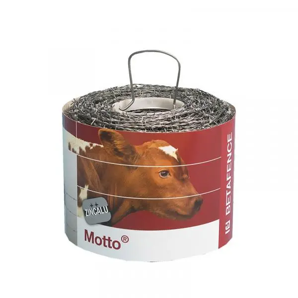 motto_4.webp