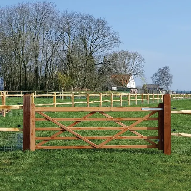paddock_1.webp