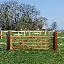 paddock_1.webp