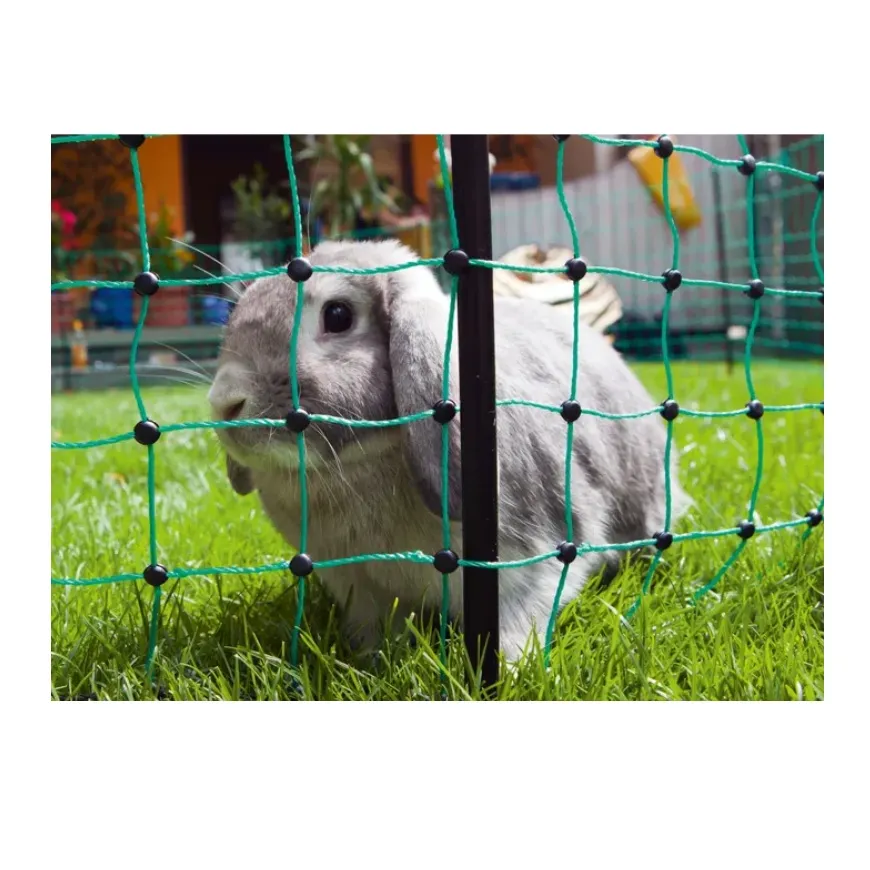 Konijnenne_1.webp