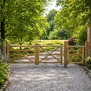 paddock_4.webp