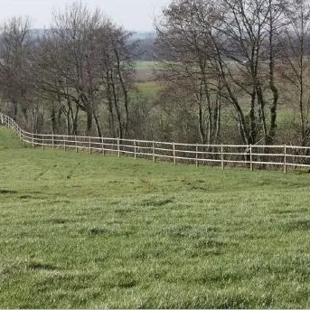 Clôturer le pâturage des chevaux par Hippos Safety Fence (140 cm)